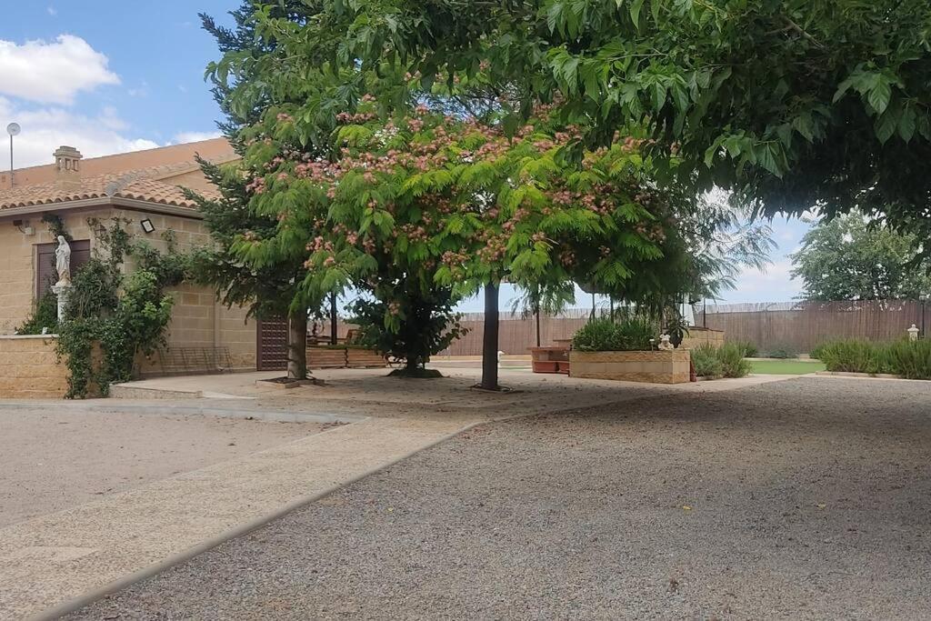Finca El Pilar Madridejos Exterior foto