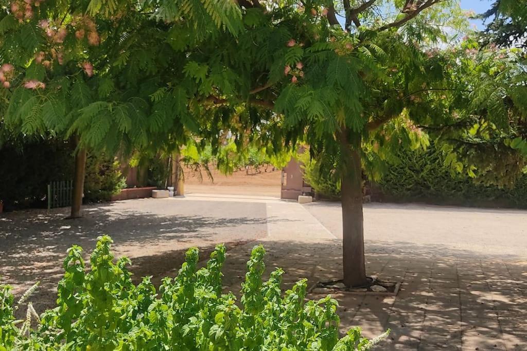 Finca El Pilar Madridejos Exterior foto