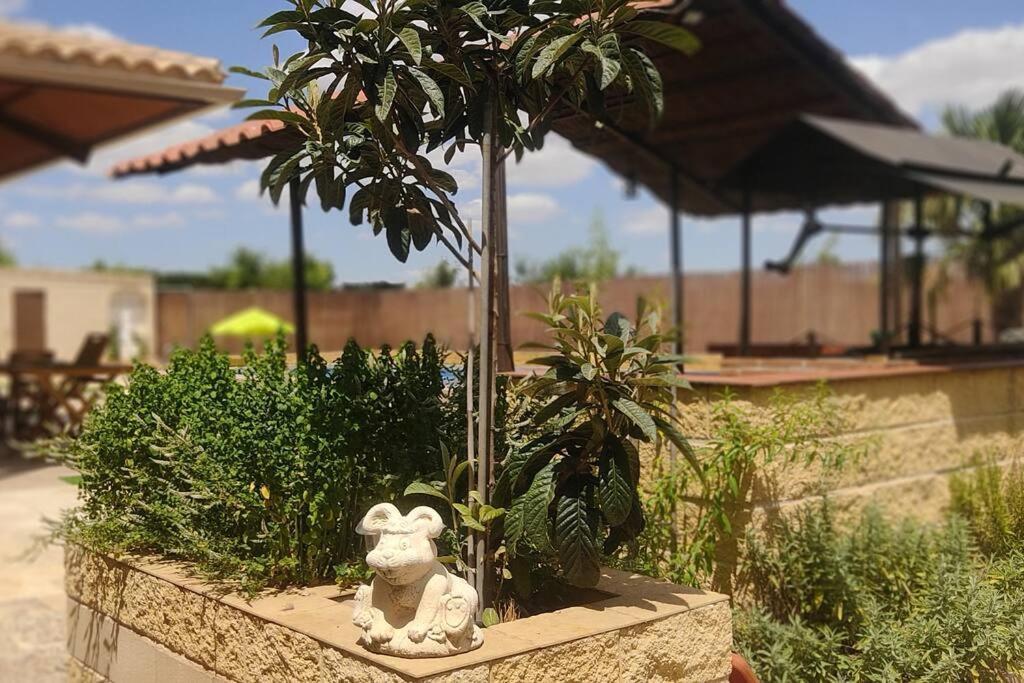 Finca El Pilar Madridejos Exterior foto